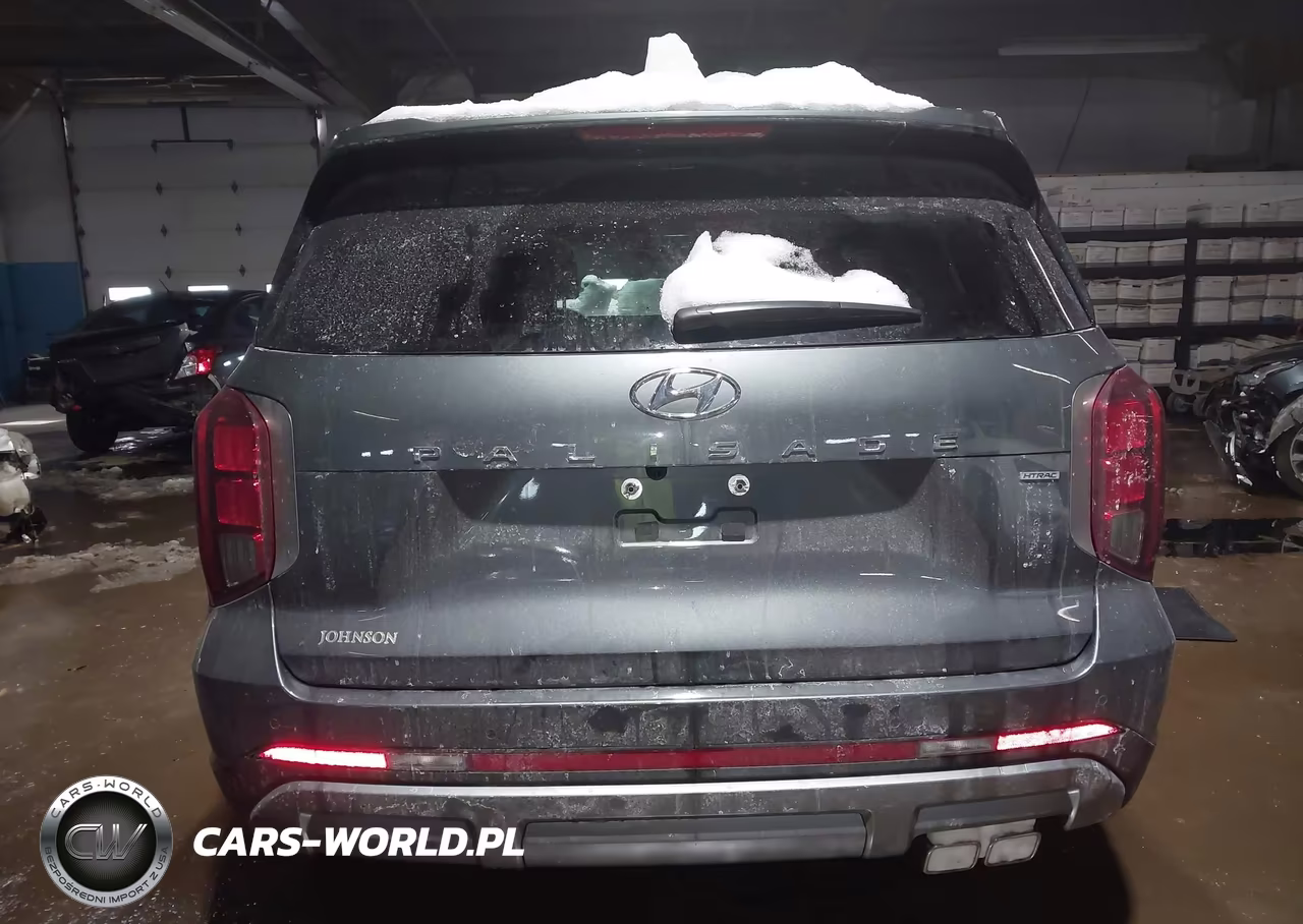 2025 Hyundai Palisade Sel Premium VIN:KM8R4DGE6SU879452 - 16