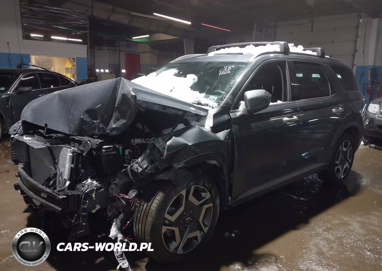 2025 Hyundai Palisade Sel Premium VIN:KM8R4DGE6SU879452 - 2