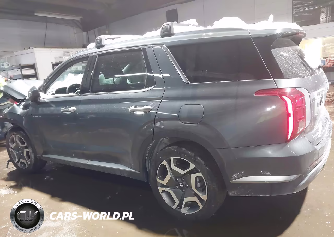 2025 Hyundai Palisade Sel Premium VIN:KM8R4DGE6SU879452 - 3