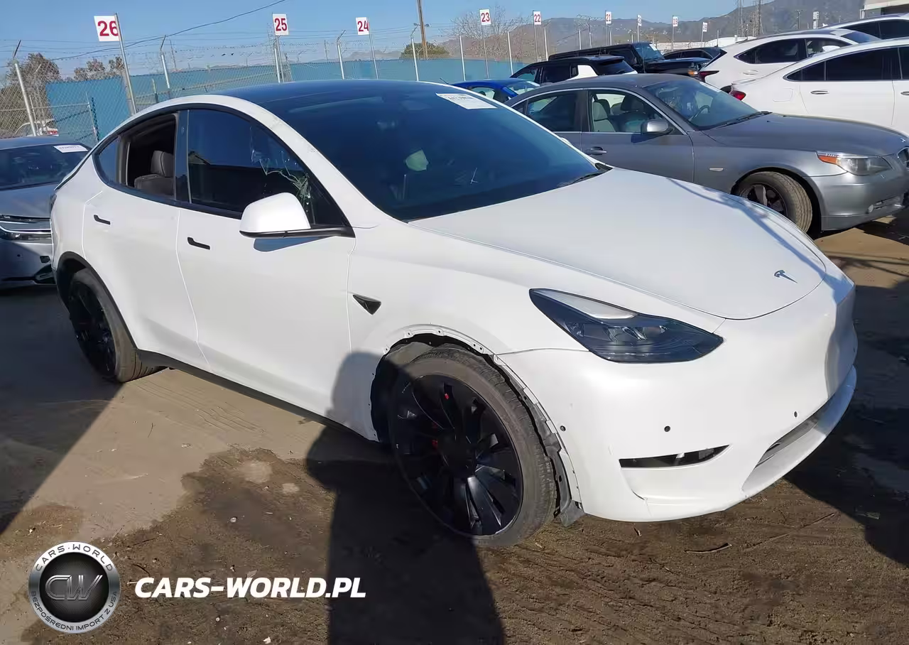 2022 Tesla Model Y Performance Dual Motor All-Wheel Drive