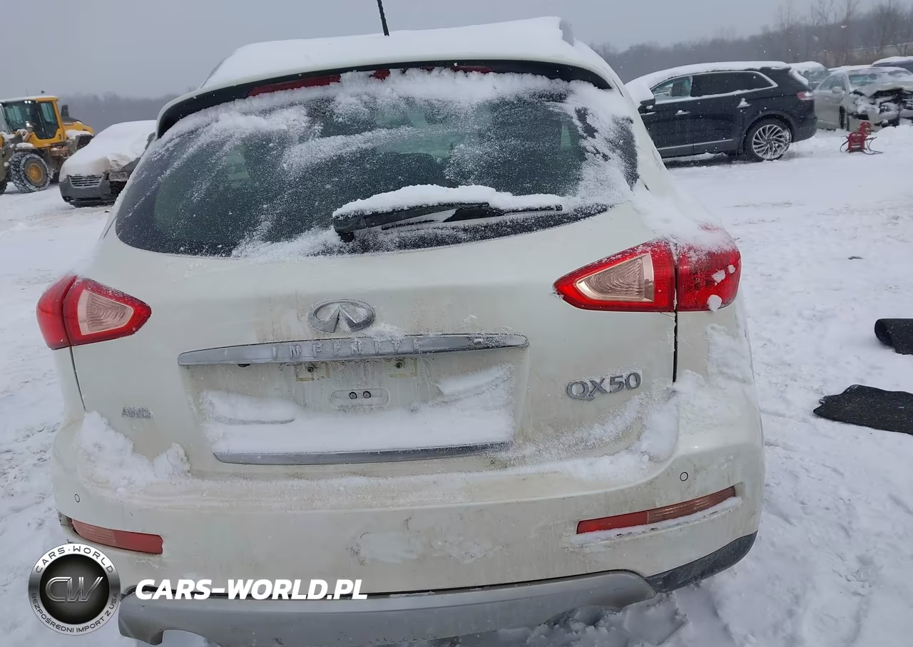 2016 Infiniti Qx50 VIN:JN1BJ0RR8GM268047 - 17