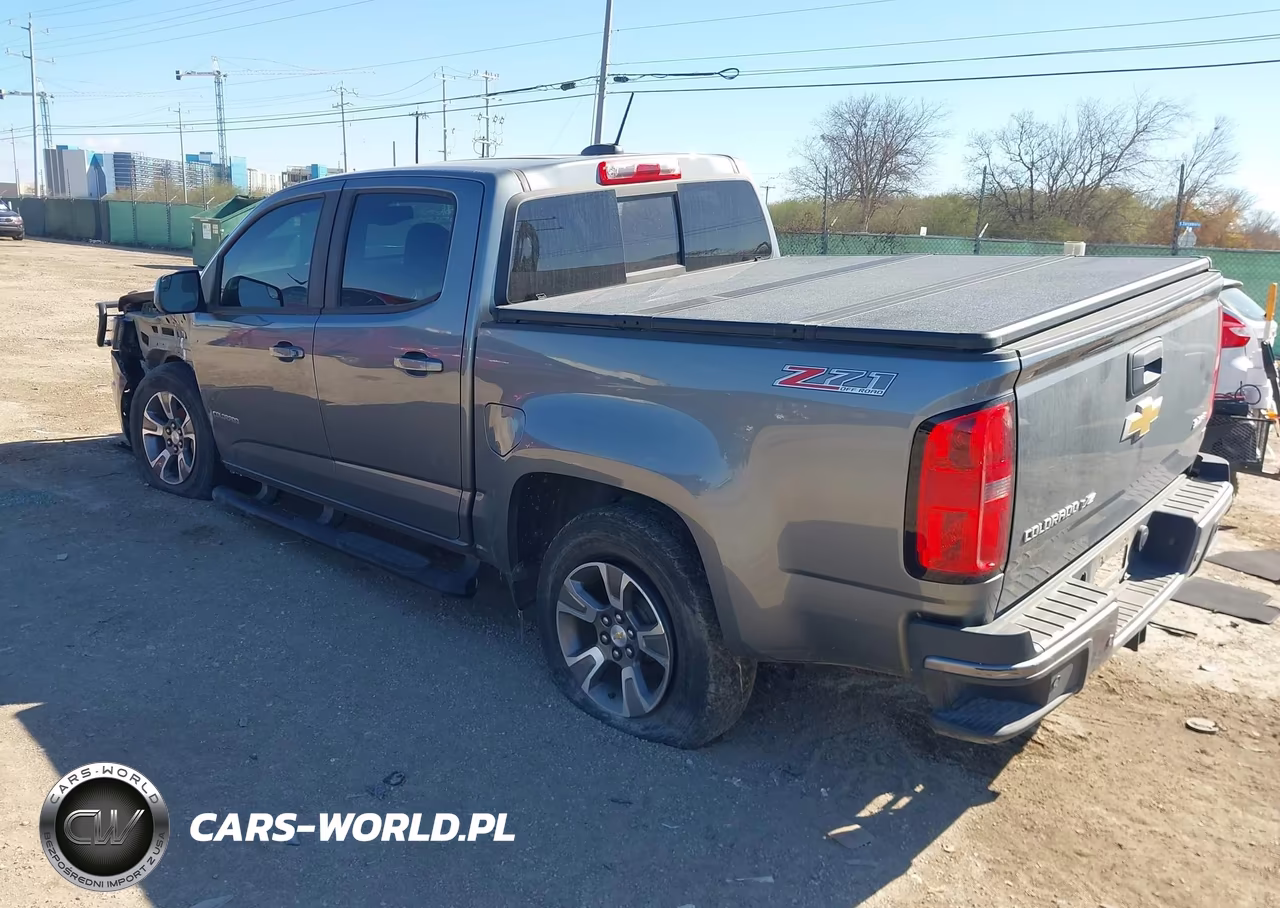 2019 Chevrolet Colorado Z71 VIN:1GCGTDEN4K1100973 - 3