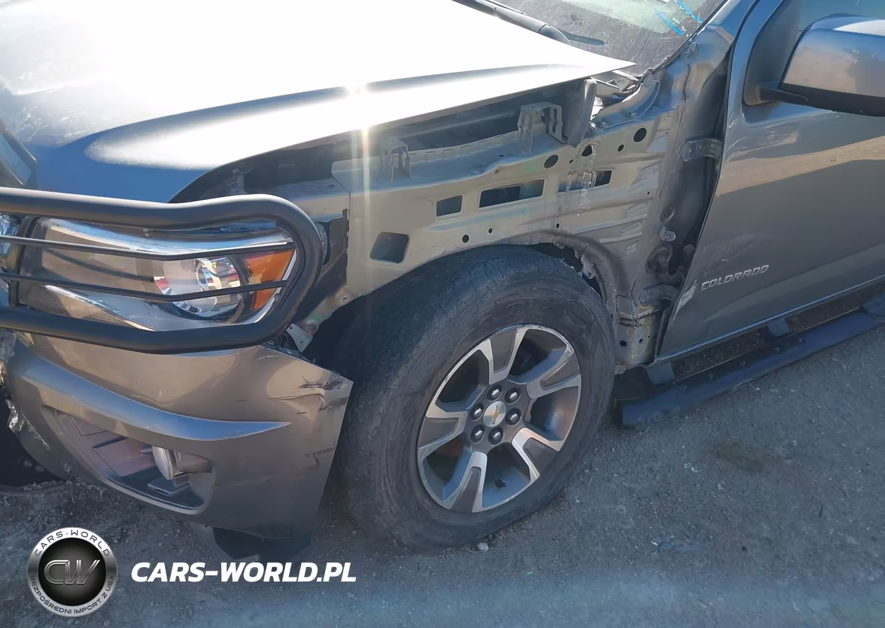 2019 Chevrolet Colorado Z71 VIN:1GCGTDEN4K1100973 - 6