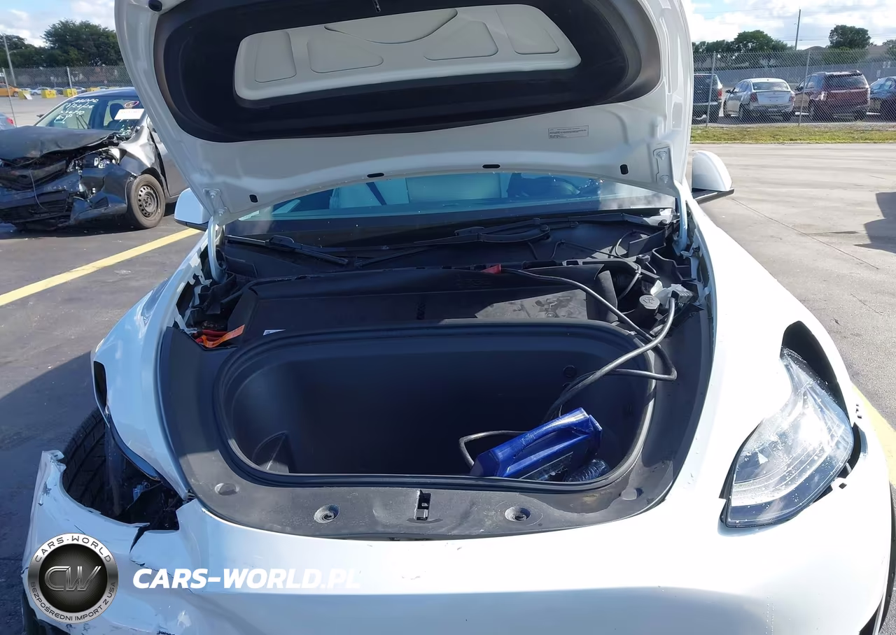 2023 Tesla Model Y Awd-Long Range Dual Motor All-Wheel Drive VIN:7SAYGAEE1PF789444 - 10