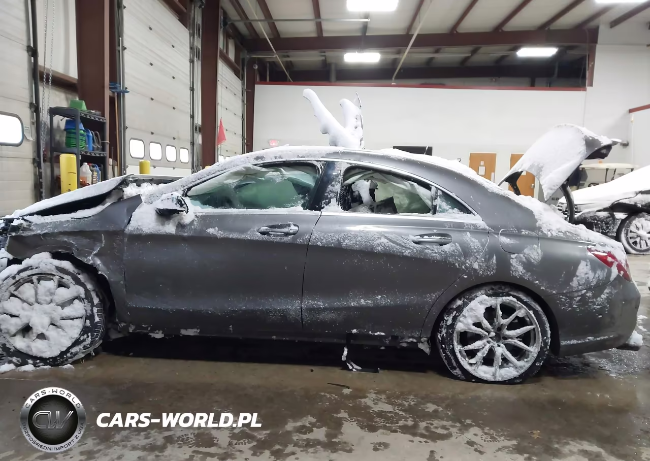 2014 Mercedes-Benz Cla 250 VIN:WDDSJ4EB8EN080039 - 13