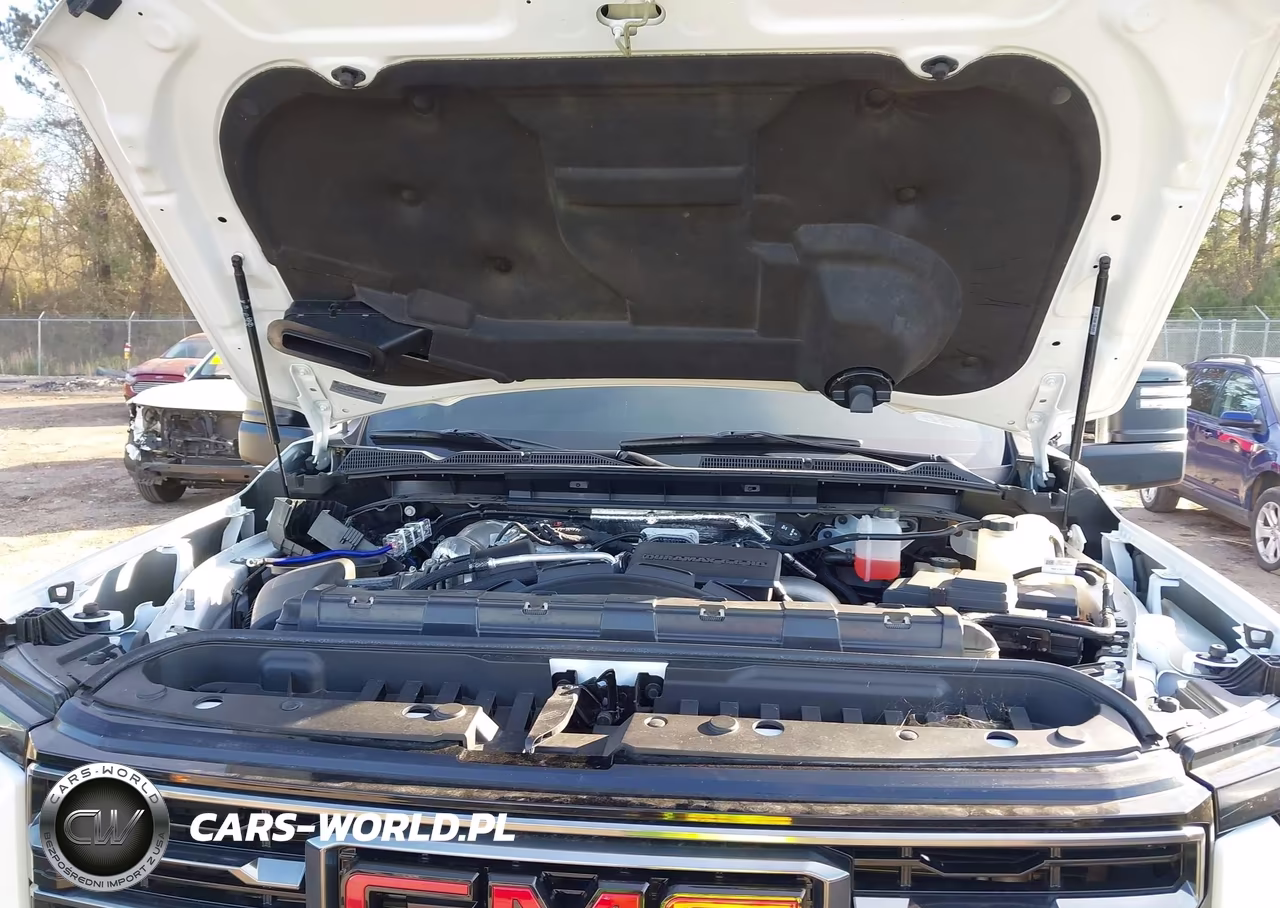 2024 GMC Sierra 2500Hd 4Wd Standard Bed At4 VIN:1GT49PEY6RF133225 - 10