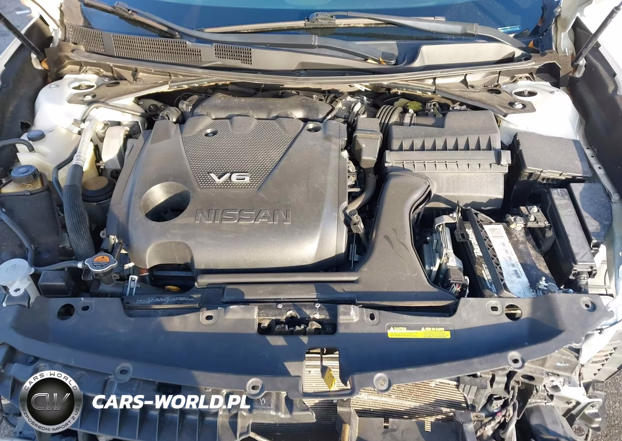 2016 Nissan Maxima 3.5 Sl VIN:1N4AA6APXGC416474 - 10