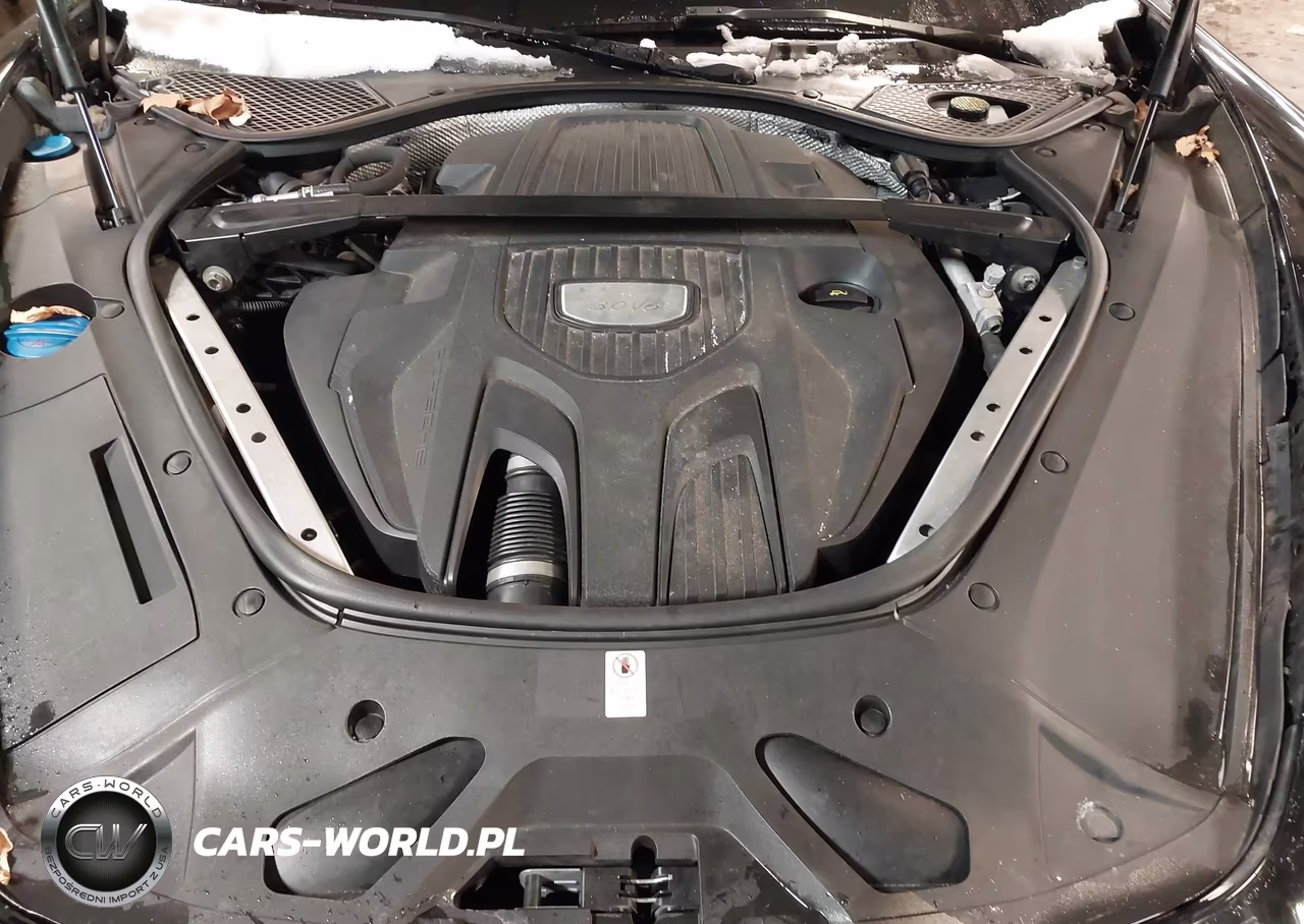 2020 Porsche Panamera 4 VIN:WP0AA2A77LL101631 - 10