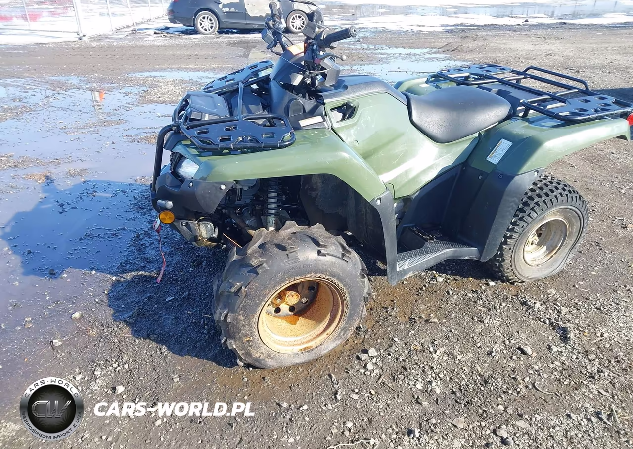 2020 Honda Trx420 Fm VIN:1HFTE40KXL4605203 - 2