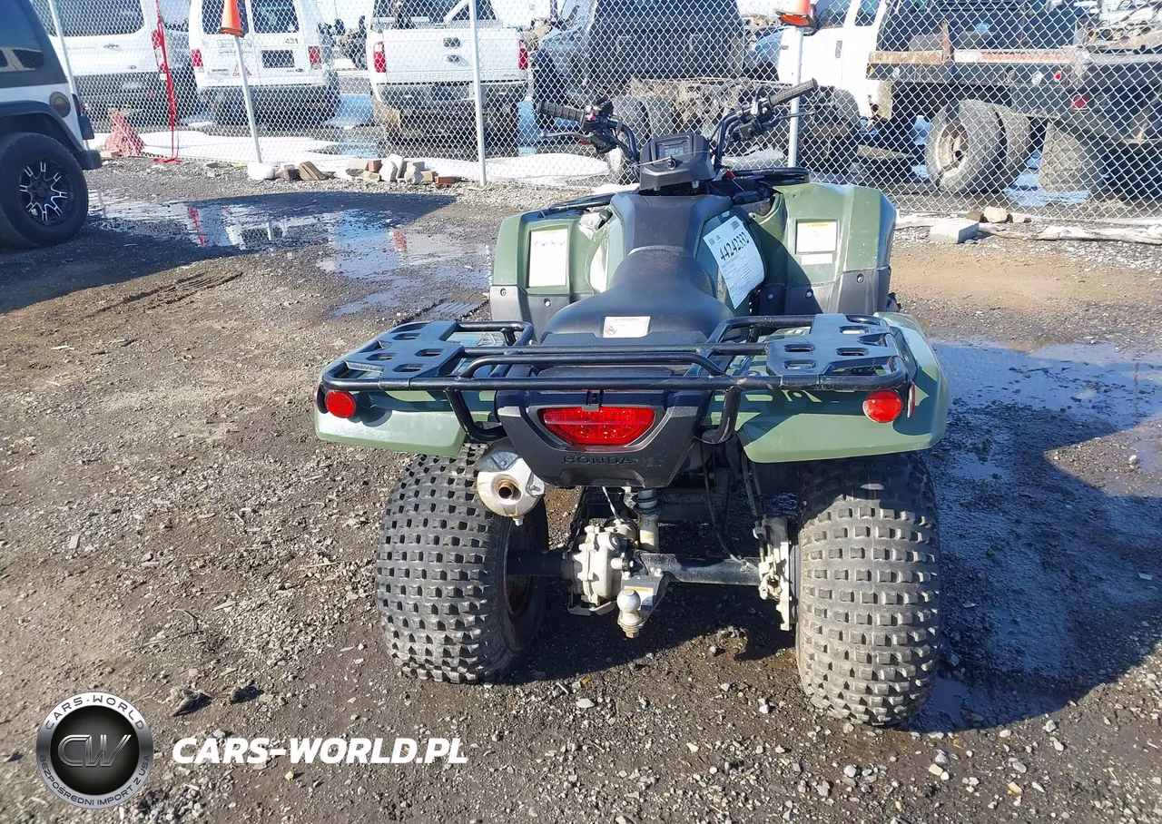 2020 Honda Trx420 Fm VIN:1HFTE40KXL4605203 - 6