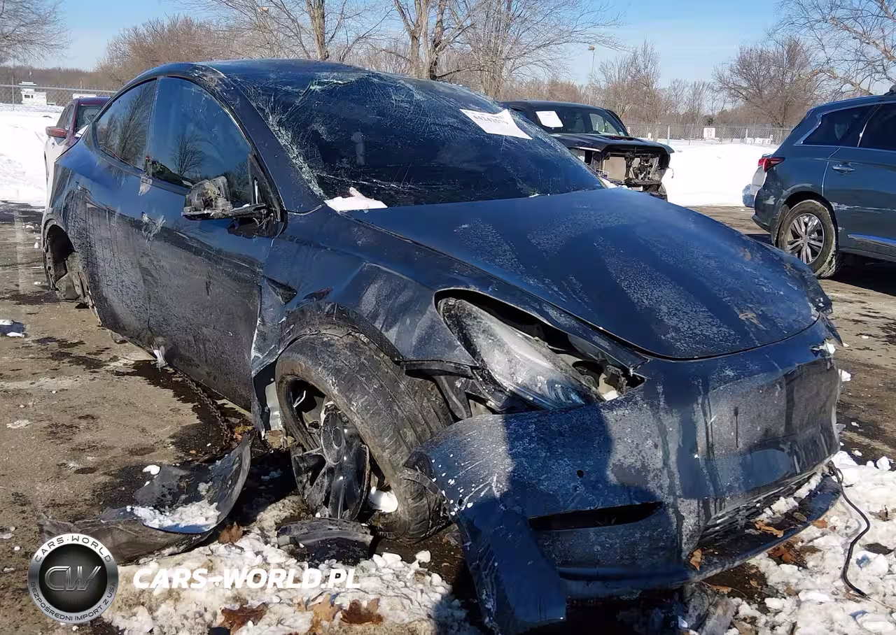 2020 Tesla Model Y Long Range Dual Motor All-Wheel Drive