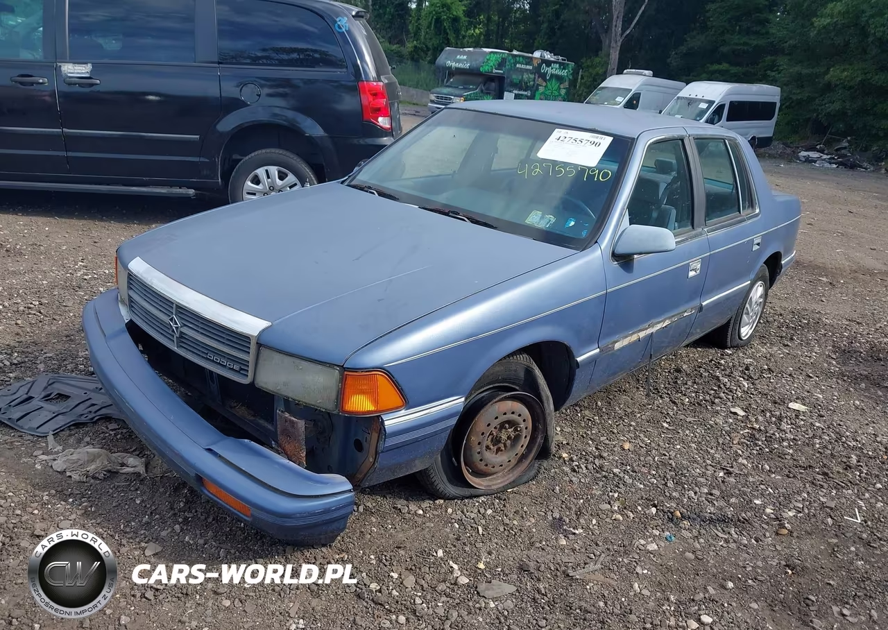 1992 Dodge Spirit VIN:1B3XA46K1NF176704 - 2