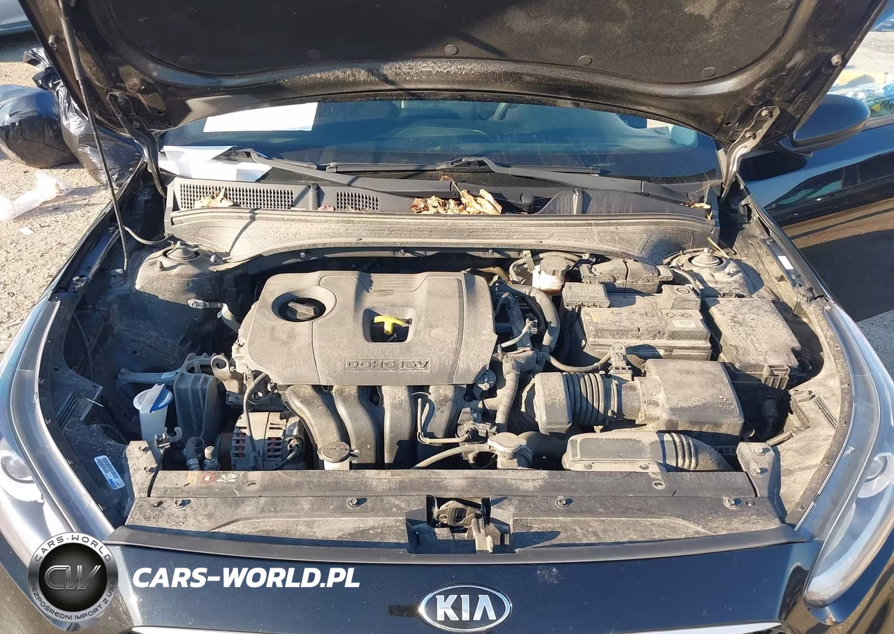 2020 Kia Forte Lxs VIN:3KPF24AD5LE243909 - 10