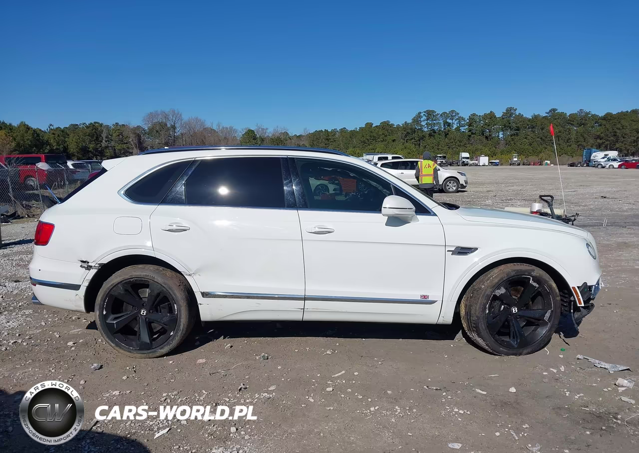 2017 Bentley Bentayga W12-W12 First Edition VIN:SJAAC2ZV2HC015262 - 14