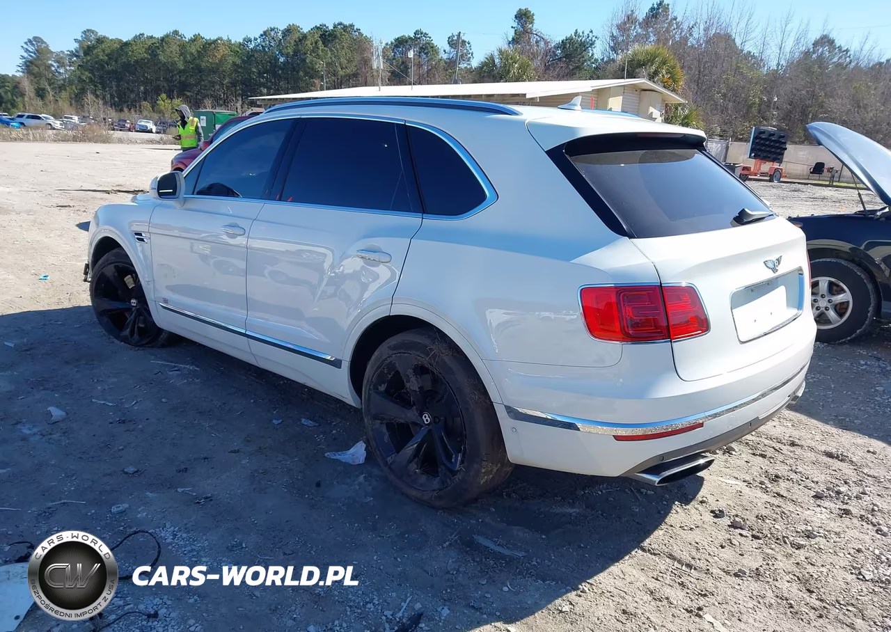 2017 Bentley Bentayga W12-W12 First Edition VIN:SJAAC2ZV2HC015262 - 3