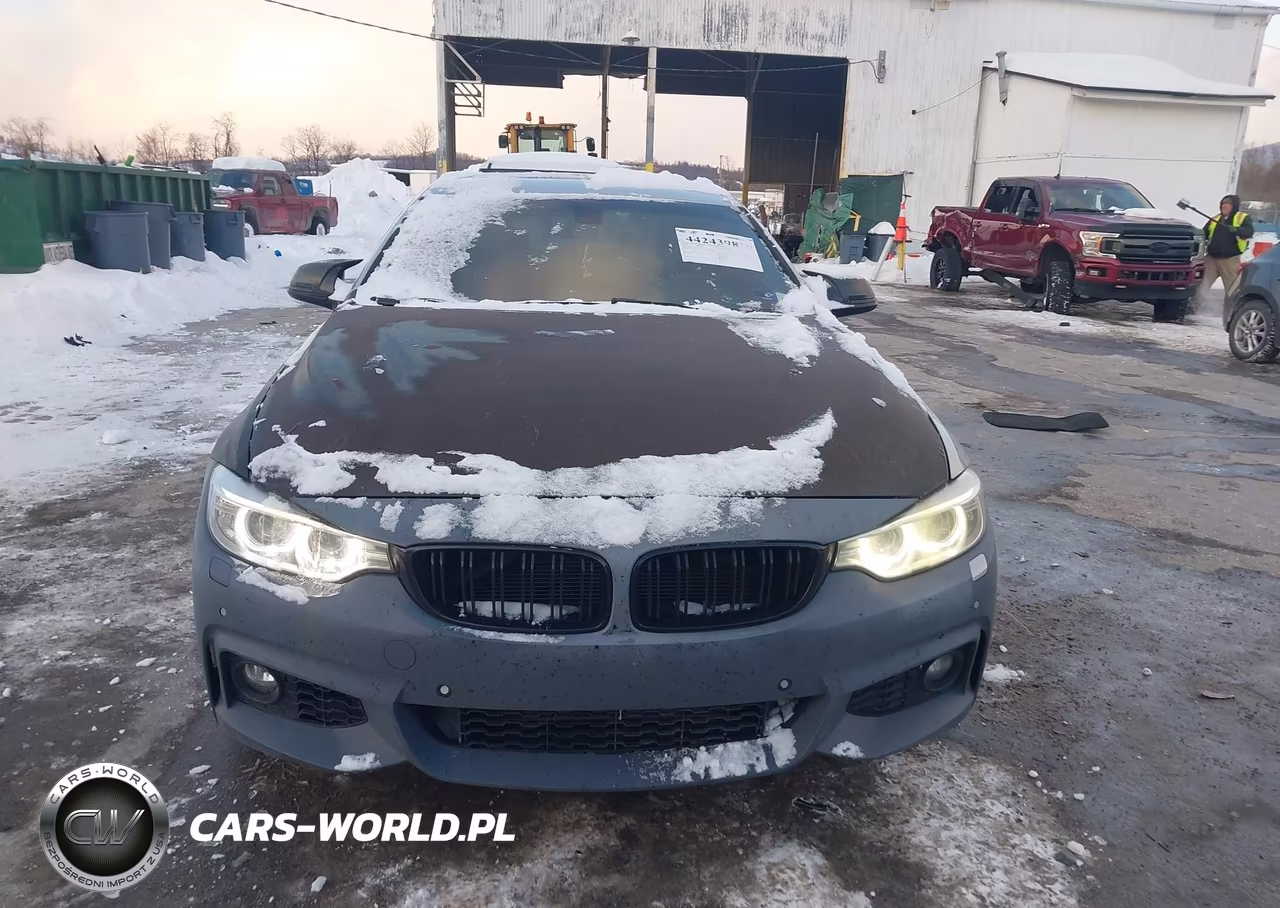 2016 BMW 428I Gran Coupe xDrive VIN:WBA4C9C55GG136515 - 12