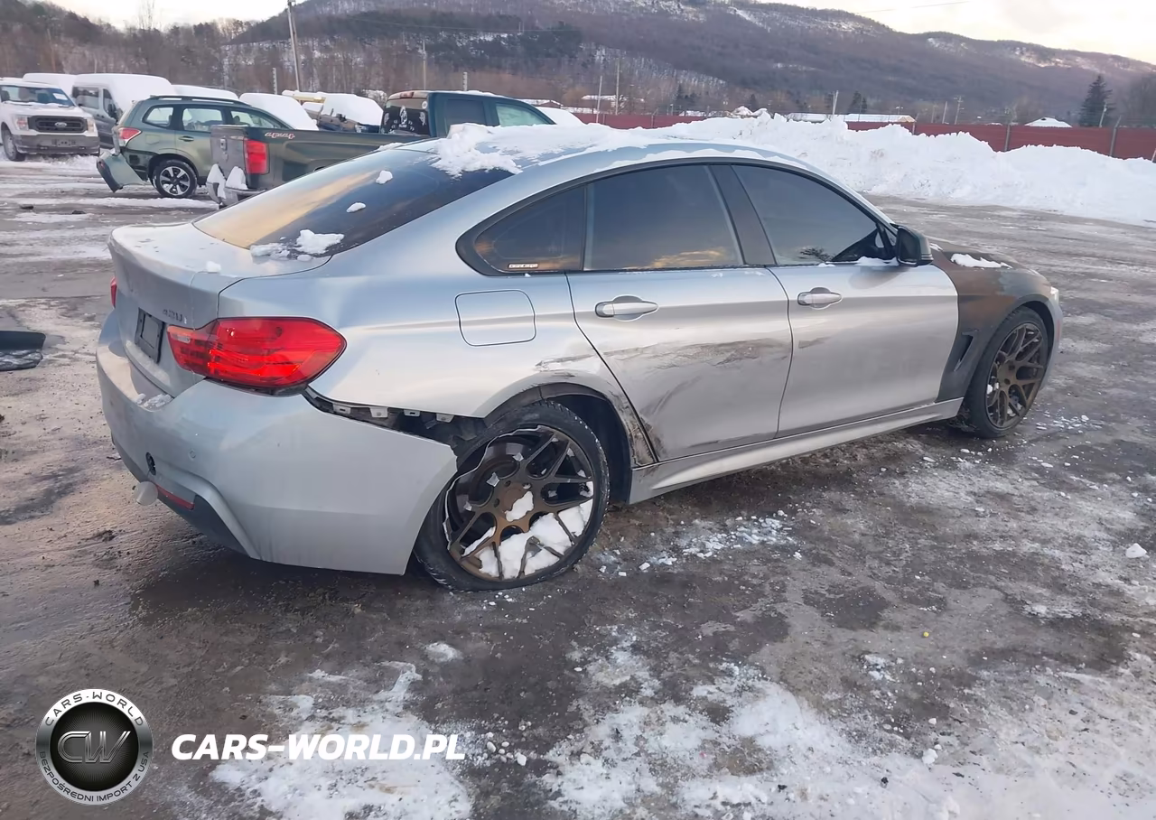 2016 BMW 428I Gran Coupe xDrive VIN:WBA4C9C55GG136515 - 4