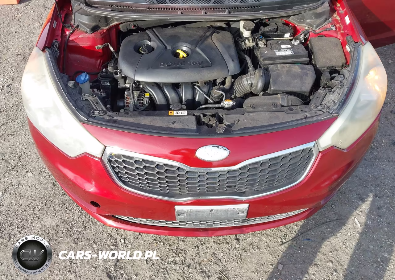 2014 Kia Forte Lx VIN:KNAFX4A60E5237675 - 10
