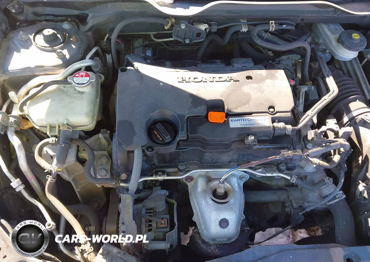 2016 Honda Civic Lx VIN:19XFC2F58GE204045 - 10