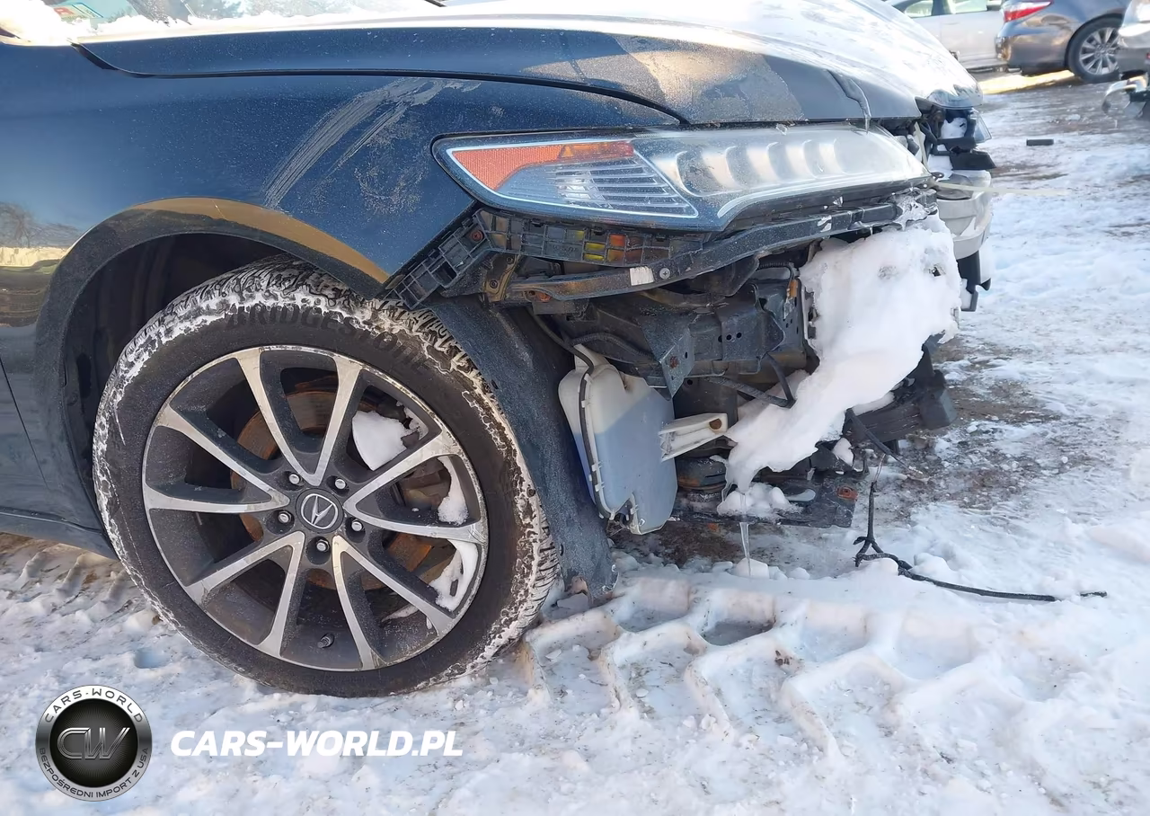 2015 Acura Tlx V6 Advance VIN:19UUB3F70FA008346 - 19