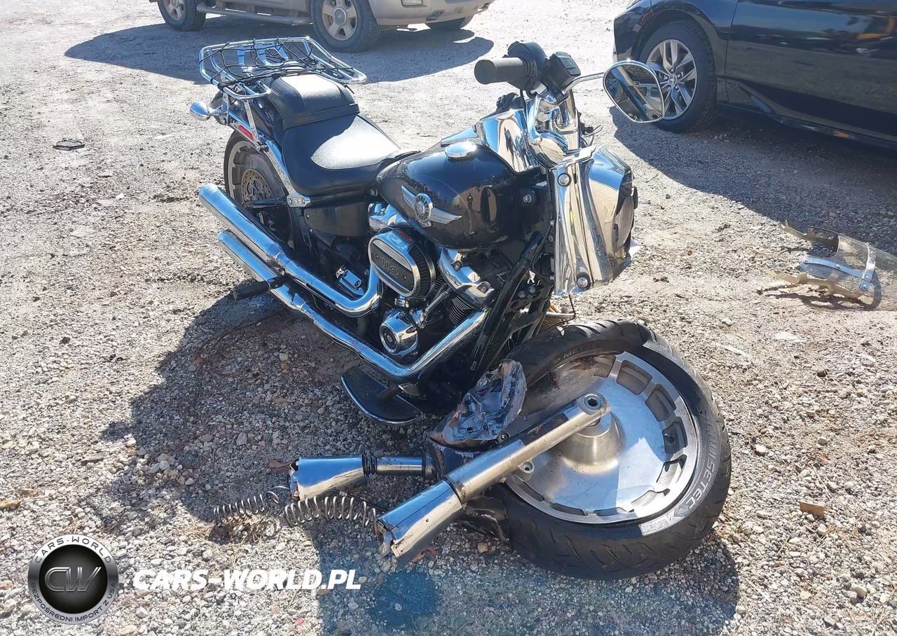 2021 Harley-Davidson Flfbs – zdjęcie 1 z 12