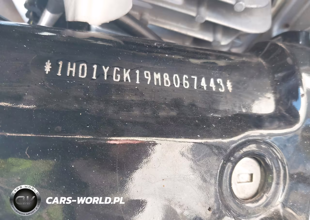 2021 Harley-Davidson Flfbs VIN:1HD1YGK19MB067443 - 10