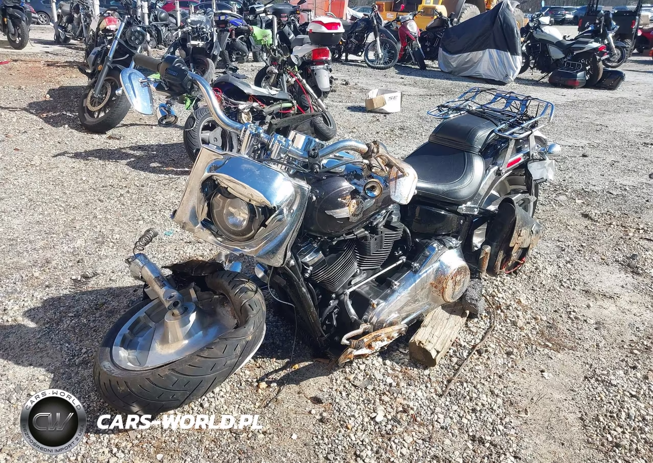 2021 Harley-Davidson Flfbs VIN:1HD1YGK19MB067443 - 2