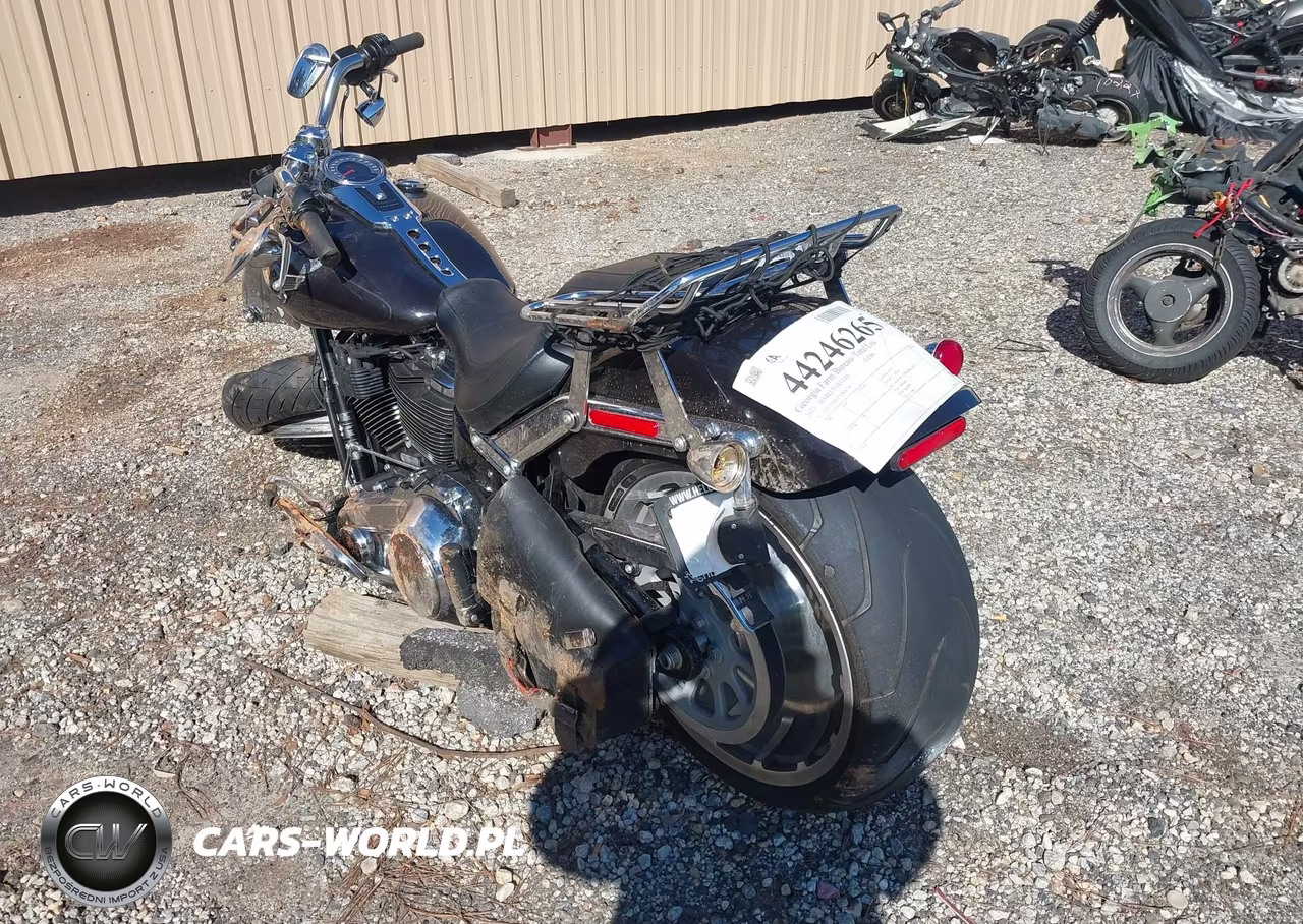 2021 Harley-Davidson Flfbs VIN:1HD1YGK19MB067443 - 3