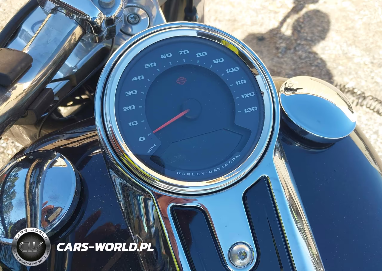2021 Harley-Davidson Flfbs VIN:1HD1YGK19MB067443 - 7