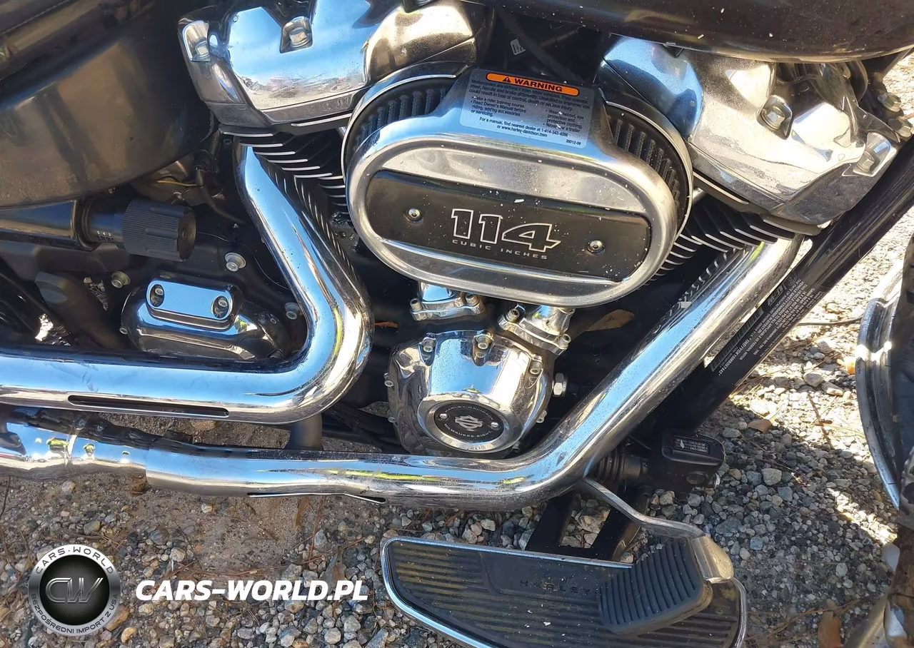 2021 Harley-Davidson Flfbs VIN:1HD1YGK19MB067443 - 8