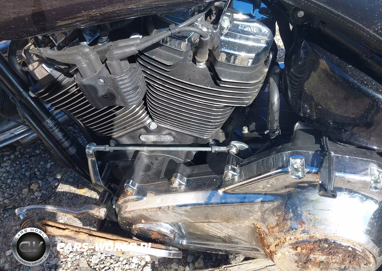2021 Harley-Davidson Flfbs VIN:1HD1YGK19MB067443 - 9