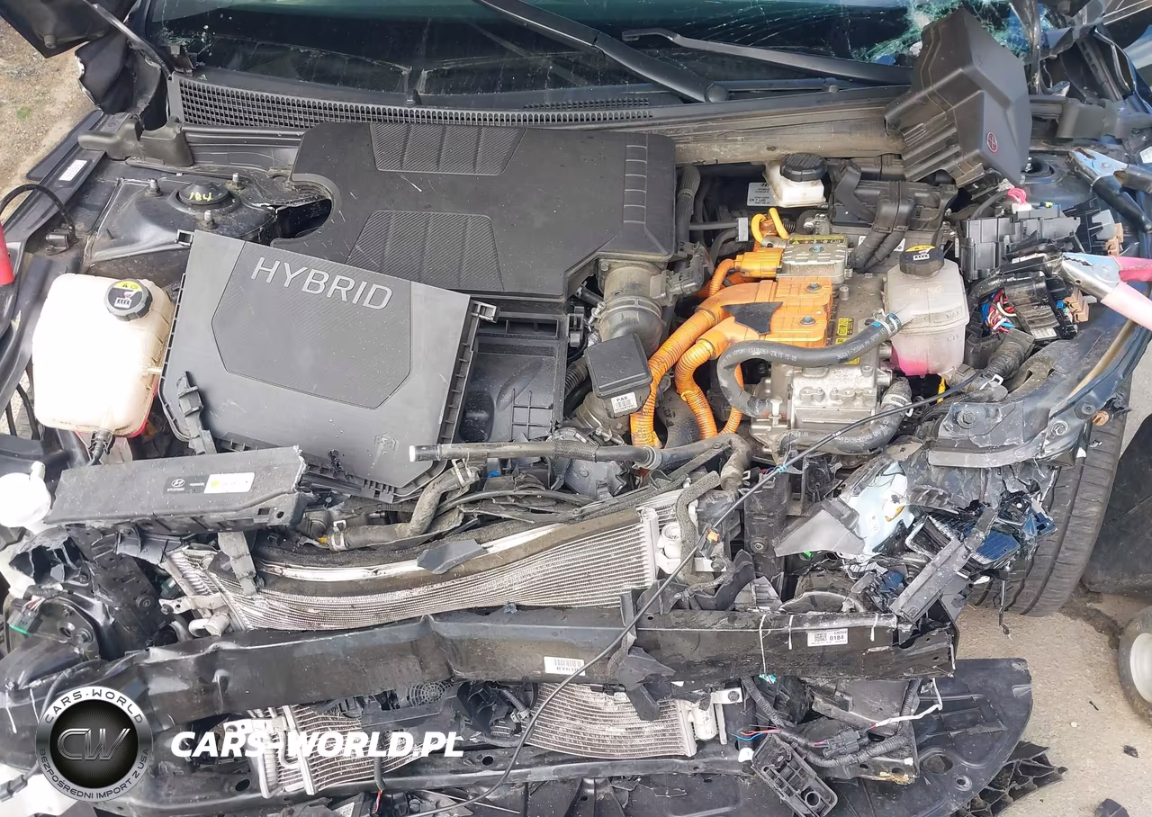 2024 Hyundai Elantra Hybrid Limited VIN:KMHLN4DJ3RU107618 - 10