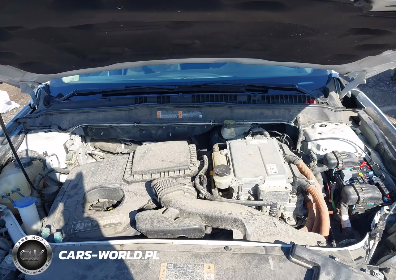 2017 Ford Fusion Hybrid Se VIN:3FA6P0LU2HR314433 - 10