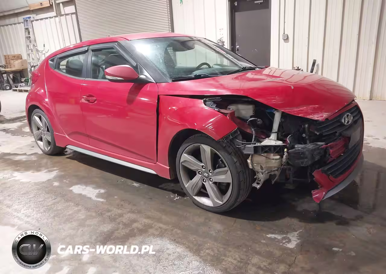 2013 Hyundai Veloster Turbo W-Black