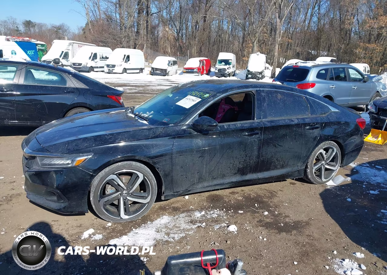 2021 Honda Accord Sport Special Edition VIN:1HGCV1F40MA034214 - 14