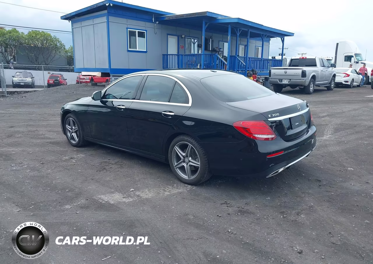 2017 Mercedes-Benz E 300 4Matic VIN:WDDZF4KB4HA025250 - 3