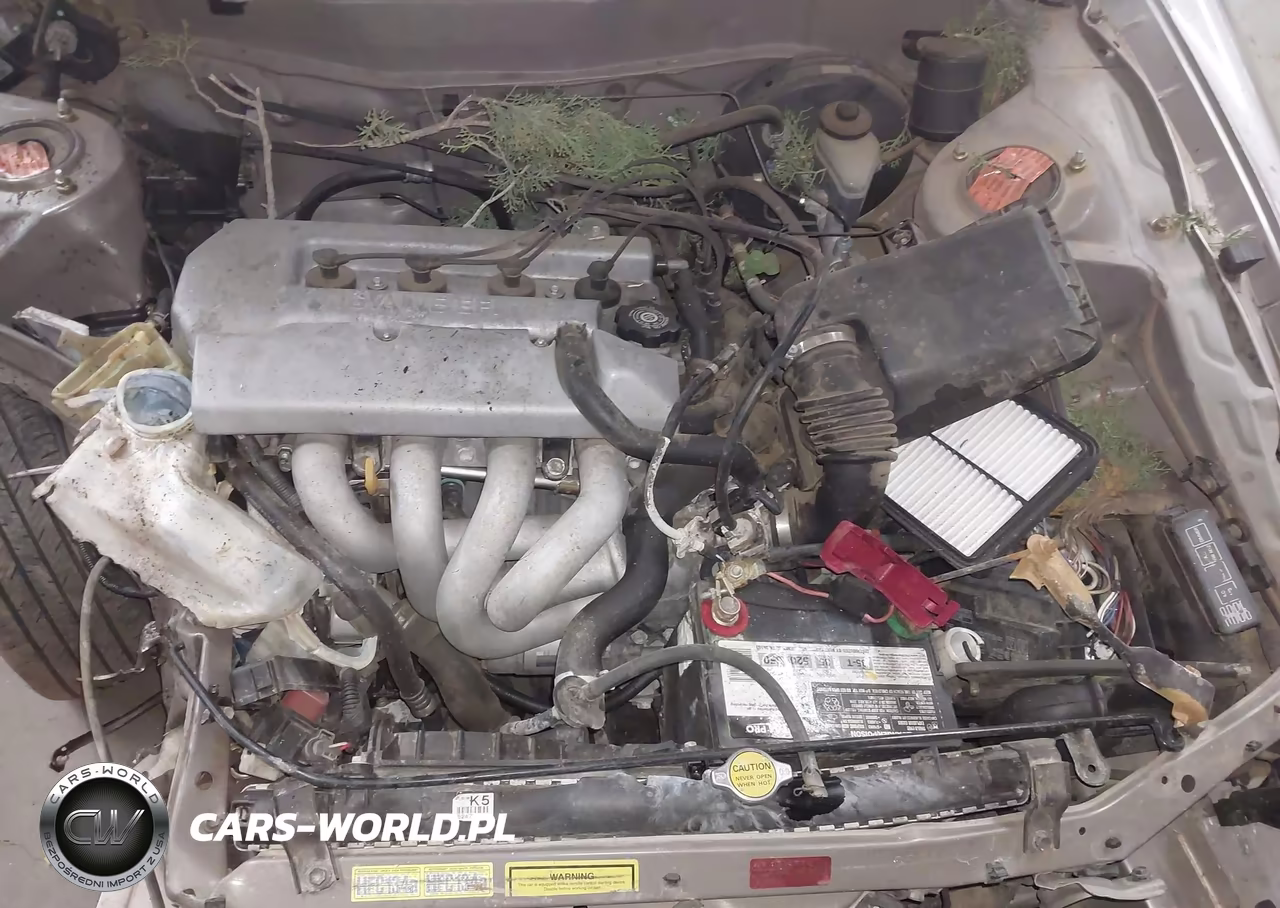 1999 Toyota Corolla Ce VIN:1NXBR12E7XZ144463 - 10