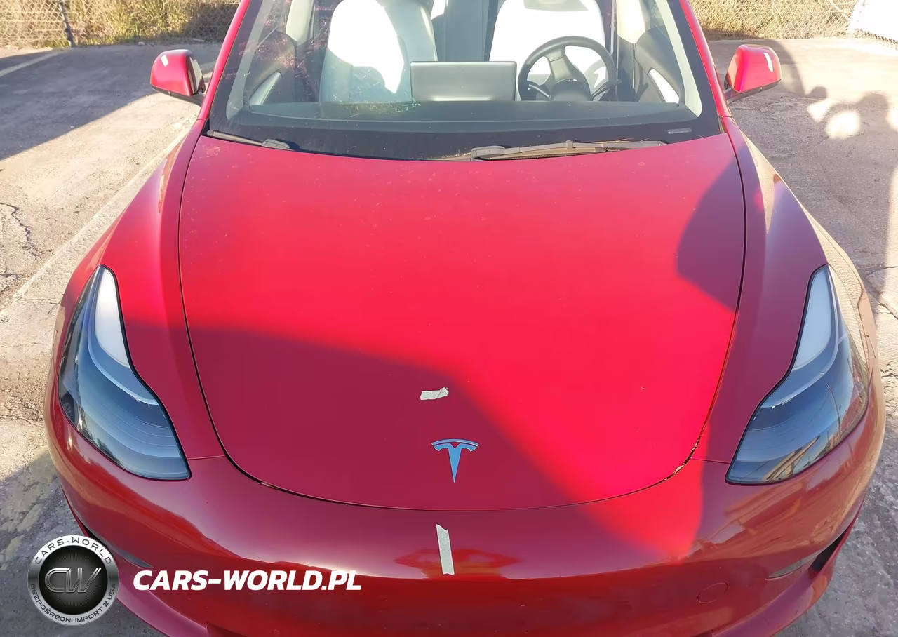 2022 Tesla Model 3 Performance Dual Motor All-Wheel Drive VIN:5YJ3E1EC9NF163116 - 10