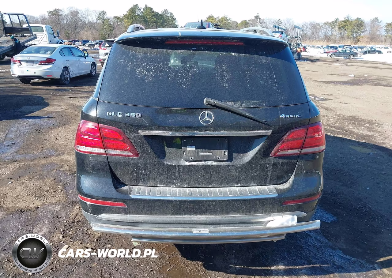 2017 Mercedes-Benz Gle 350 4Matic VIN:4JGDA5HB2HA922305 - 16