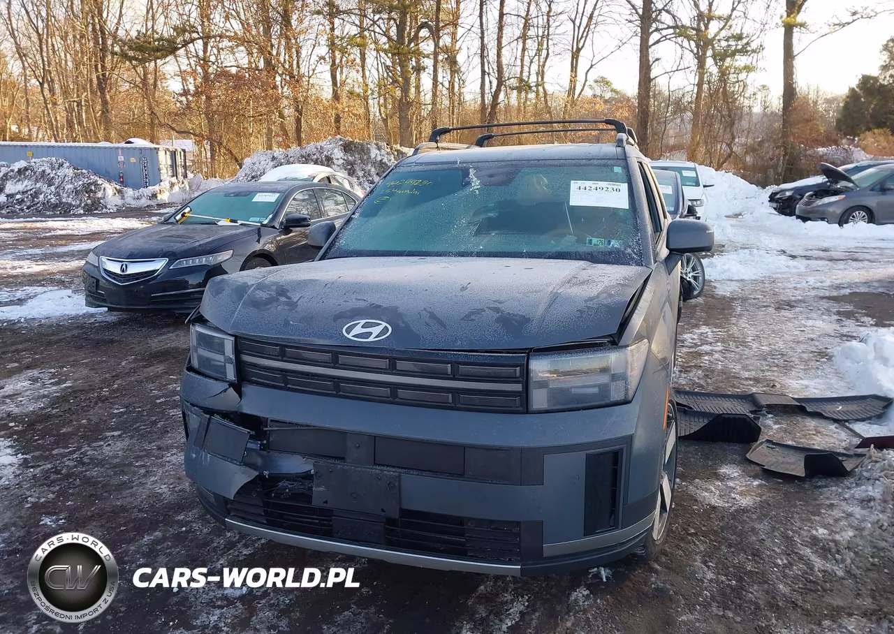 2025 Hyundai Santa Fe Limited VIN:5NMP4DGL4SH091061 - 12