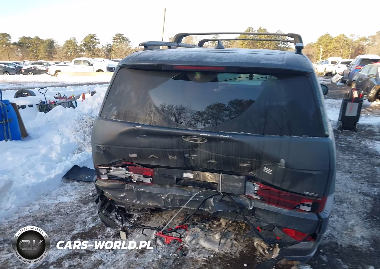 2025 Hyundai Santa Fe Limited VIN:5NMP4DGL4SH091061 - 16
