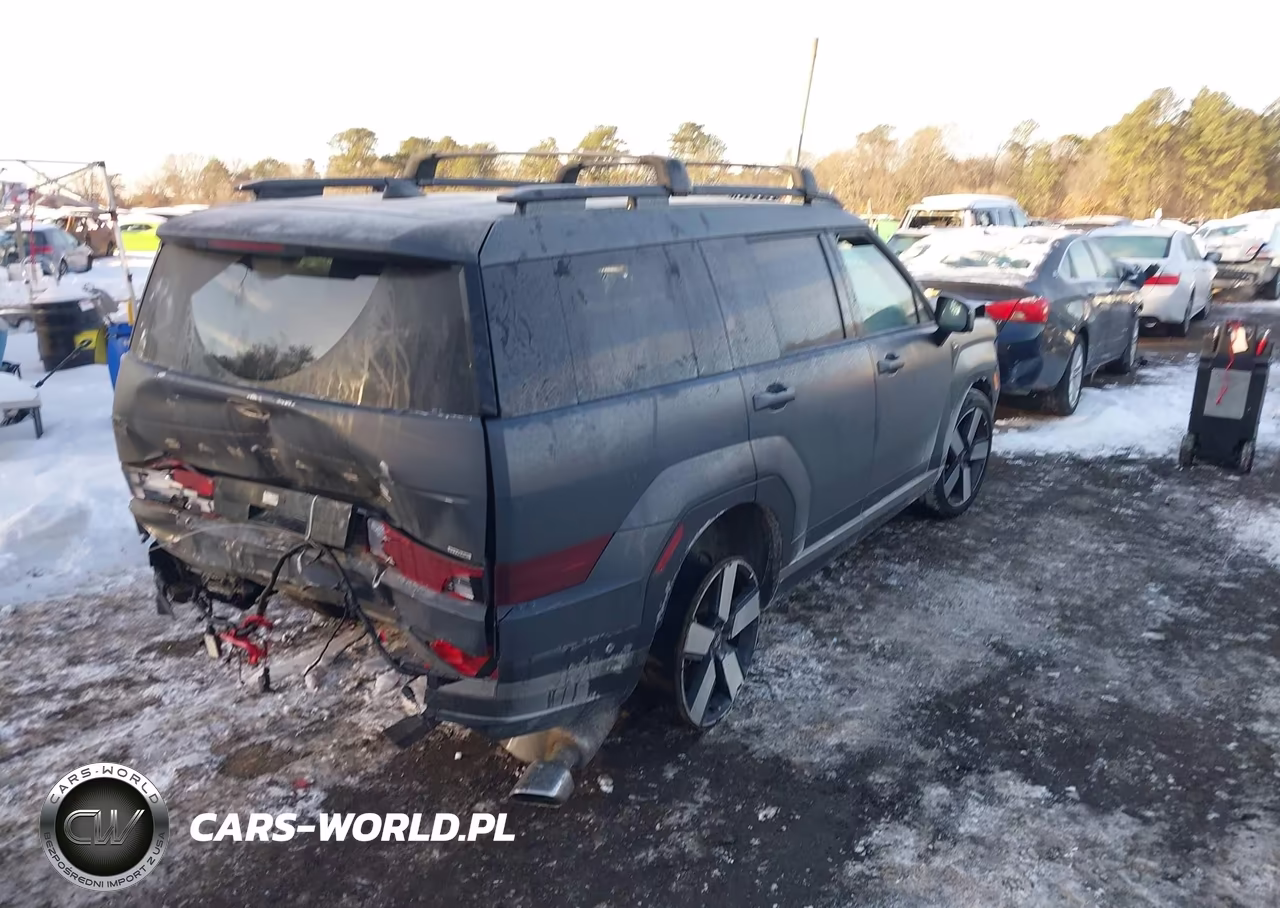 2025 Hyundai Santa Fe Limited VIN:5NMP4DGL4SH091061 - 4