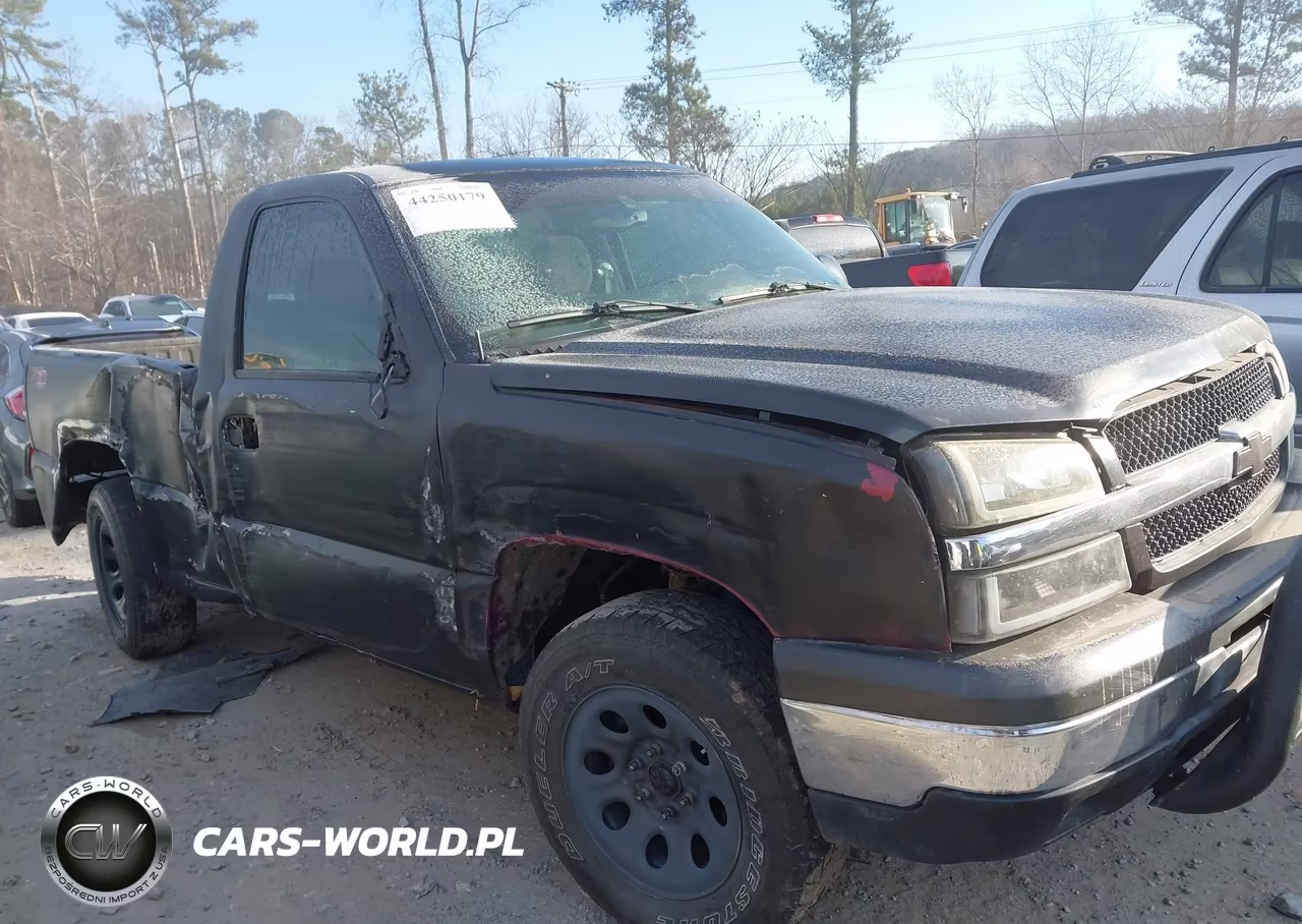2003 Chevrolet Silverado 1500 Ls VIN:1GCEK14V53Z166798 - 13