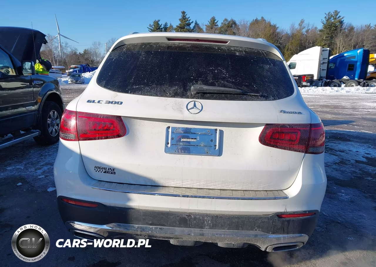 2020 Mercedes-Benz Glc 300 4Matic VIN:W1N0G8EB0LF781035 - 17