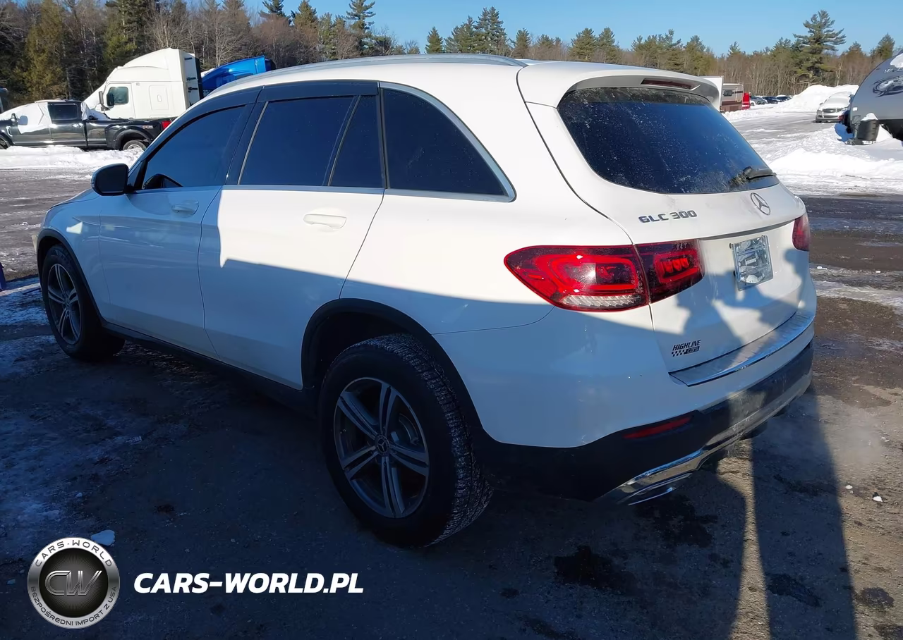 2020 Mercedes-Benz Glc 300 4Matic VIN:W1N0G8EB0LF781035 - 3
