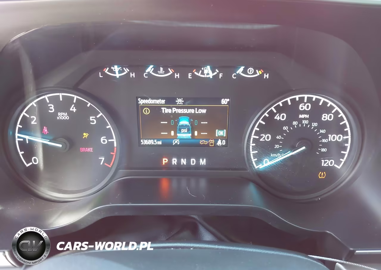 2023 Ford F-150 Xlt VIN:1FTEW1C81PKD34256 - 7