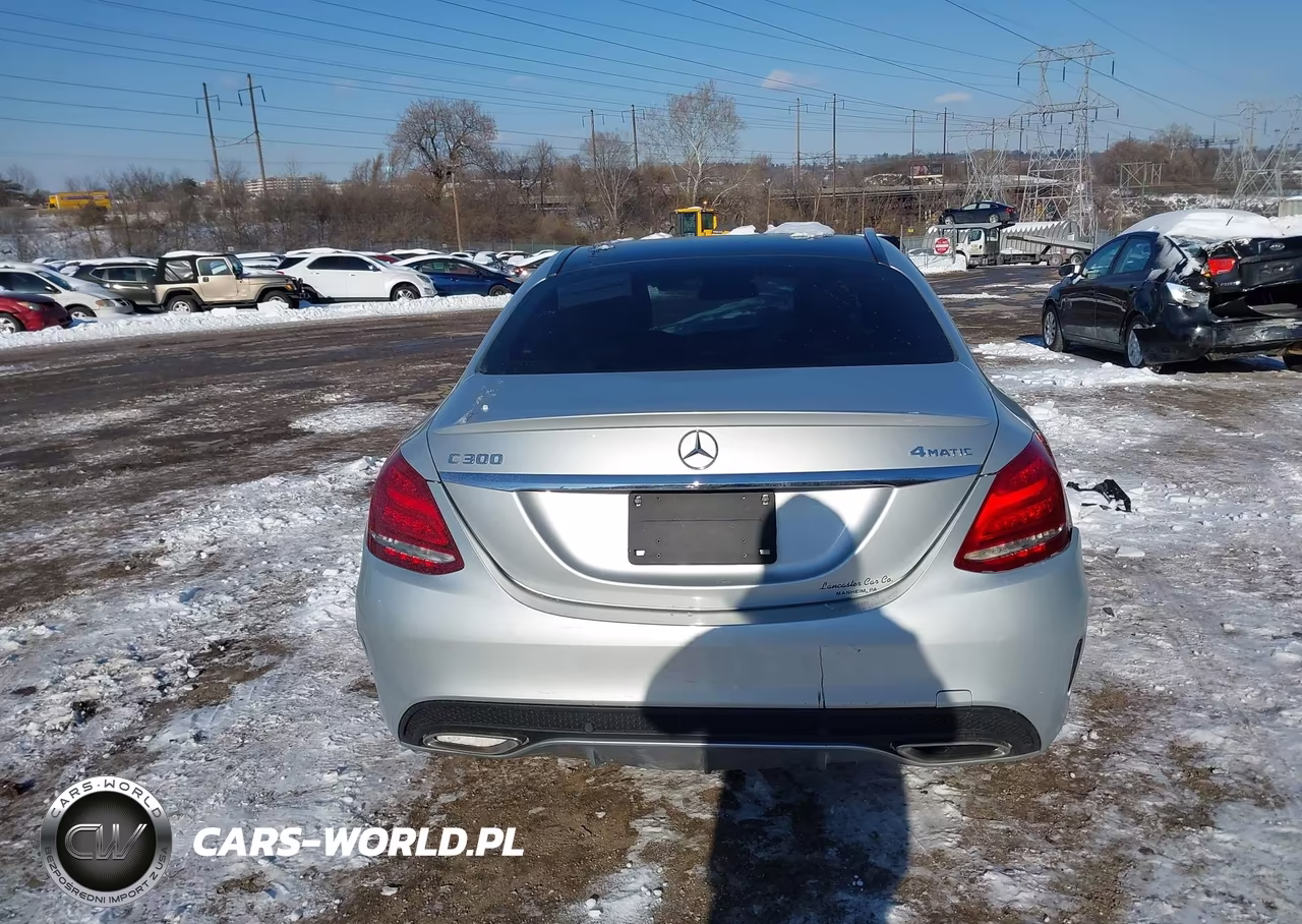 2018 Mercedes-Benz C 300 4Matic VIN:55SWF4KBXJU276976 - 17