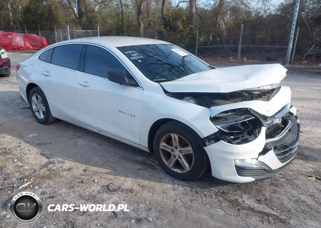 2019 Chevrolet Malibu 1Ls