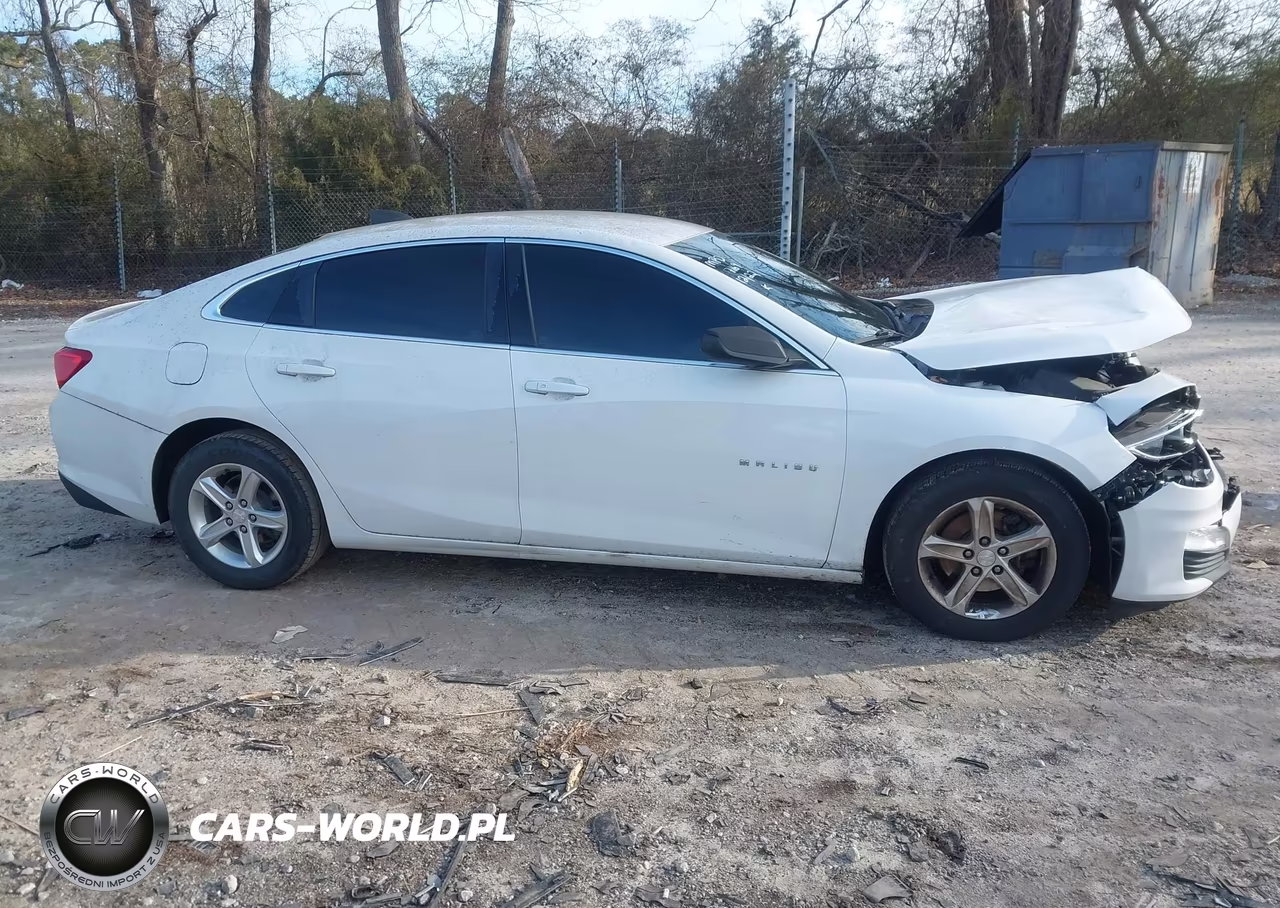 2019 Chevrolet Malibu 1Ls VIN:1G1ZB5ST2KF157169 - 13