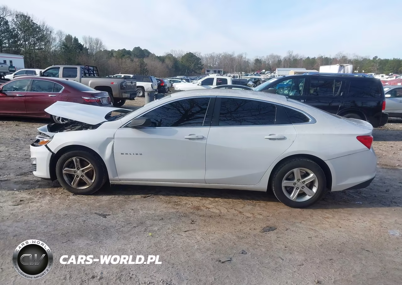 2019 Chevrolet Malibu 1Ls VIN:1G1ZB5ST2KF157169 - 14